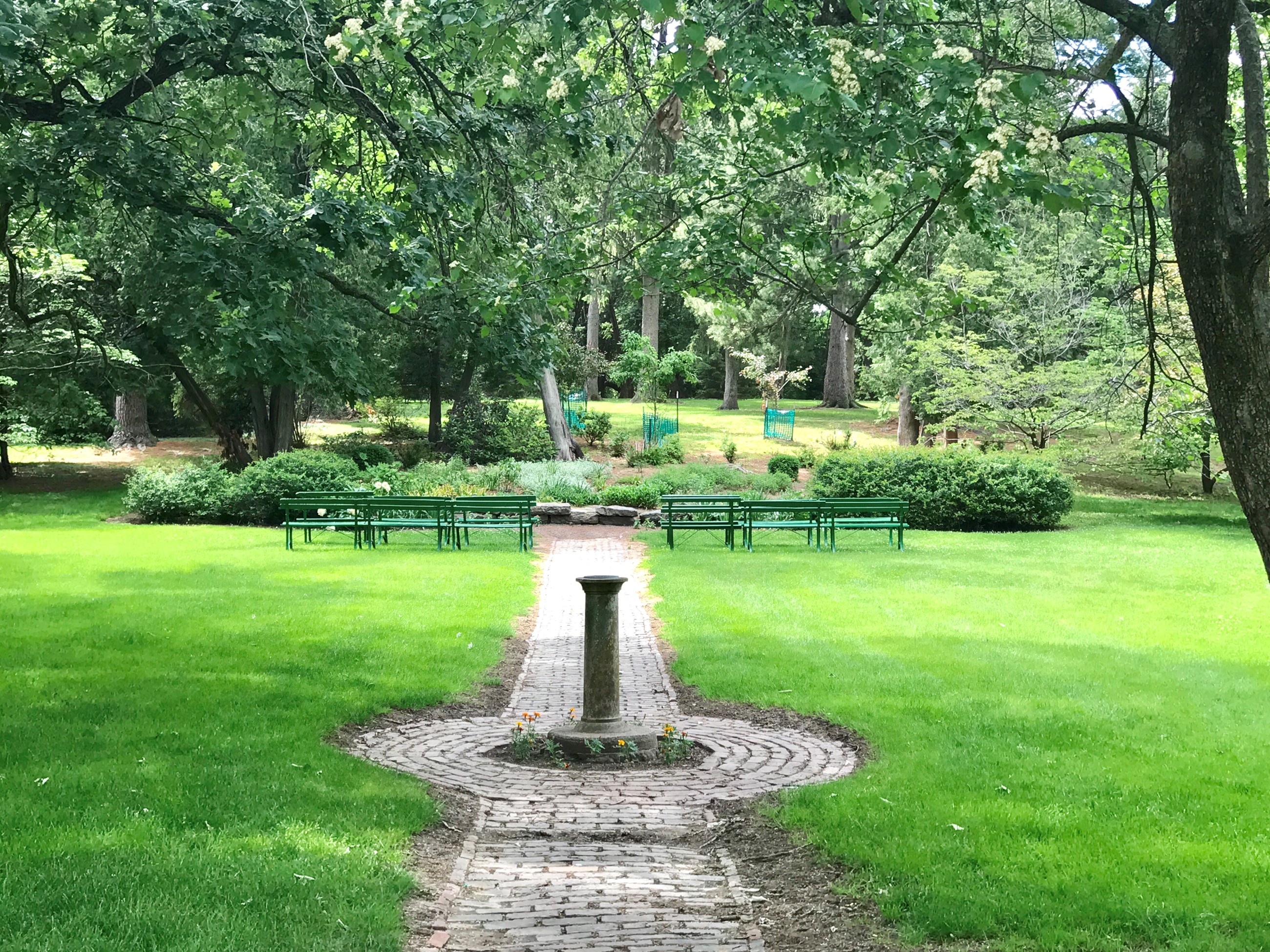 a park in summer