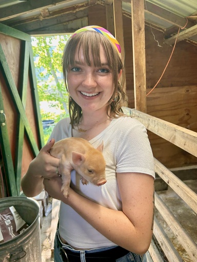 Young white woman wearing a bandana in her hair, wearing a light gray t-shirt, and holding a tiny piglet.